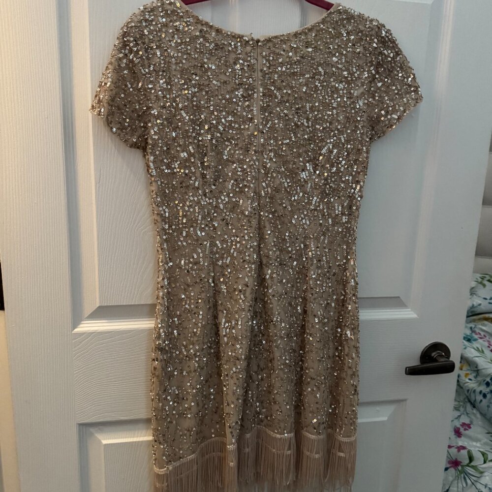 Rose Gold Sequin cocktail Dress with fringe on the bottom - Picture 9 of 9